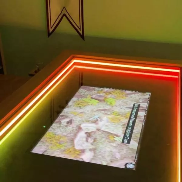 digital gamingtable tv screen dungeonalchemist